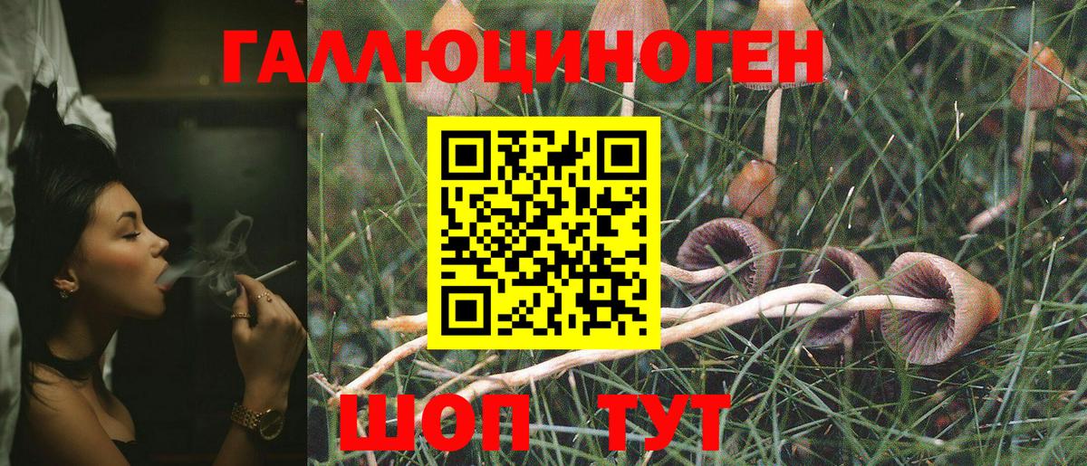 Псилоцибиновые грибы Cubensis  где купить наркоту  Каменск-Шахтинский  Вход с VPN 